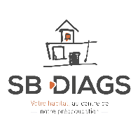 Logo SB Diags