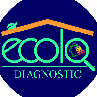 Logo ECOLODIAGNOSTIC