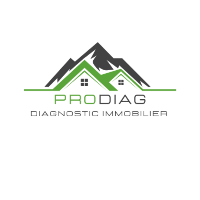 Logo Pro Diag 