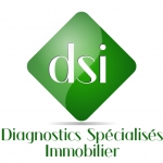 DSI - Un professionnel pour réaliser votre bilan énergétique à Anjou