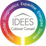 Logo IDEES CABINET CONSEIL