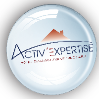 Logo Activ'Expertise Arve Mont Blanc
