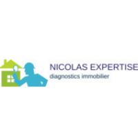 Logo NICOLAS EXPERTISE 