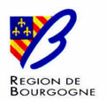 Quels sont les professionnels habilités à proposer un bilan énergétique en région Bourgogne ? | Bilan énergétique