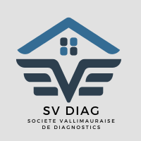 Logo Sv Diag