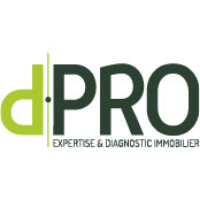 Logo D.PRO BESANCON