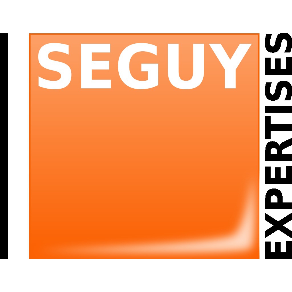 Logo CABINET D'EXPERTISE SEGUY