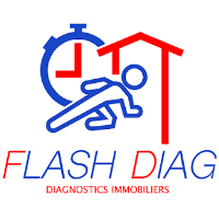 Logo FLASH DIAG