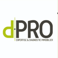 Logo d.PRO VERSAILLES
