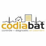 Logo CODIABAT