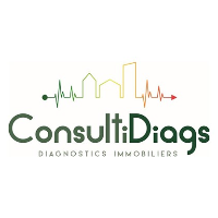 Logo CONSULTIDIAGS