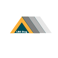 Logo LBS DIAG