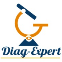 Logo DIAG-EXPERT