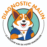 Logo Diagnostic Malin