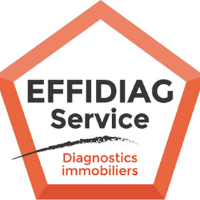 Logo EFFIDIAG SERVICE