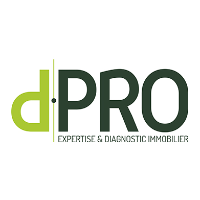 Logo d.PRO Tours