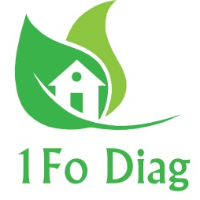 Logo 1FO DIAG