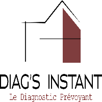 Logo Diag's instant