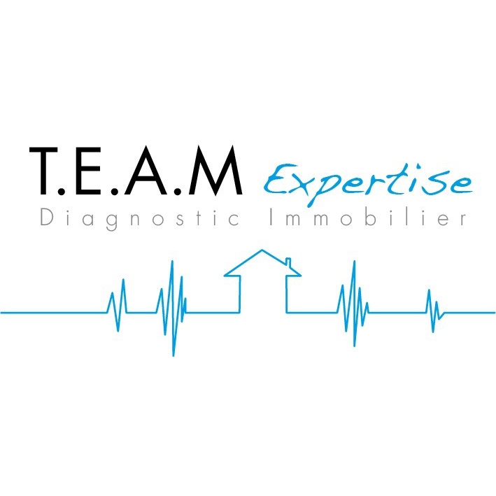 Logo TEAM EXPERTISE