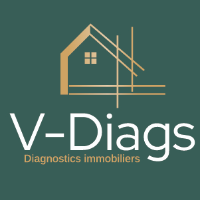 Logo V-Diags
